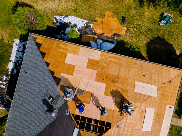 Best Roof Repair Services  in Bridgewater, VA