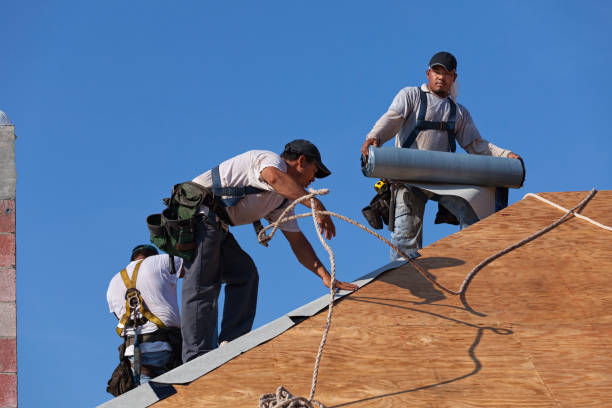 Best Best Roofing Contractors  in Bridgewater, VA
